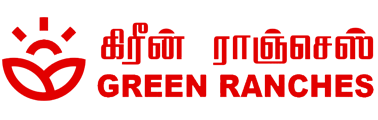 GREEN RANCHES